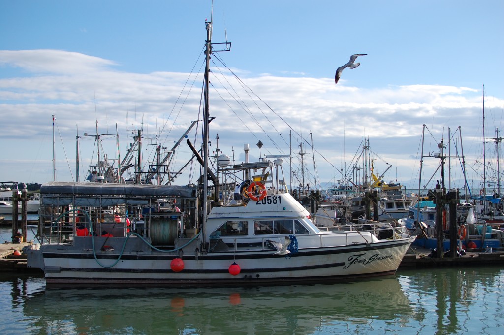 boats