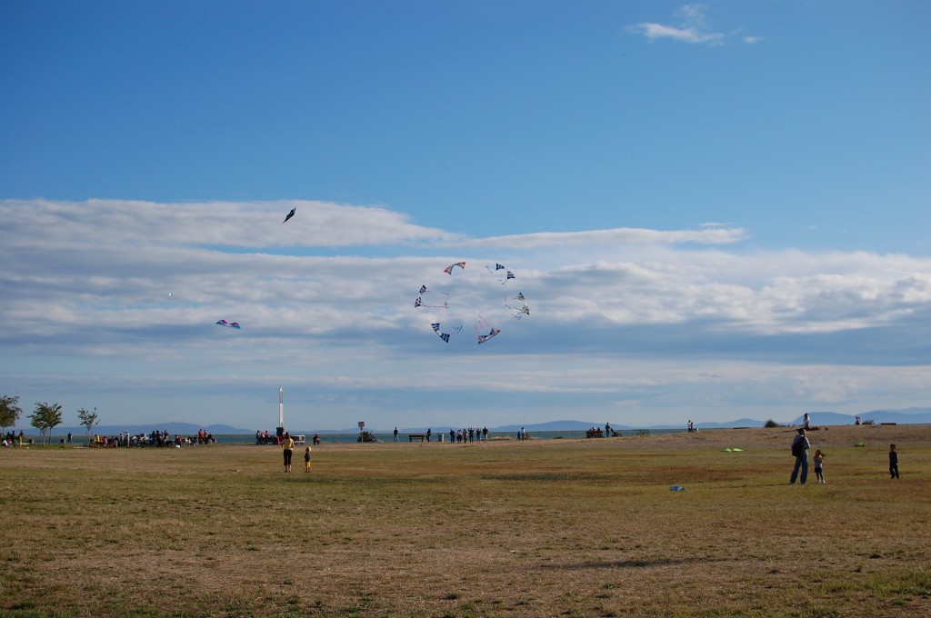 kites