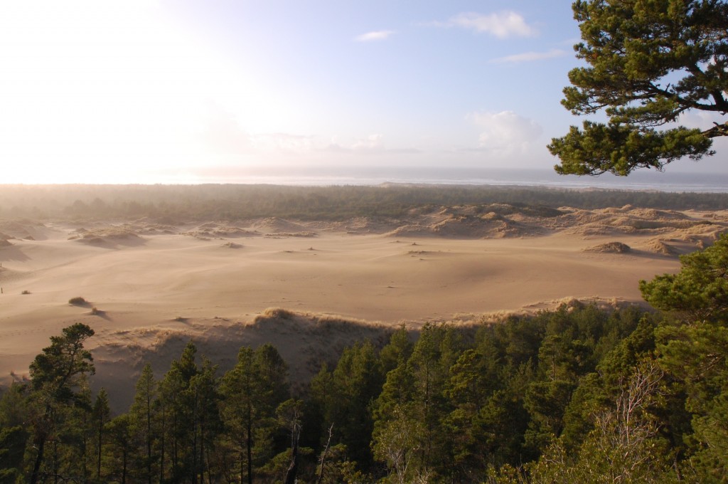 oregon dunes