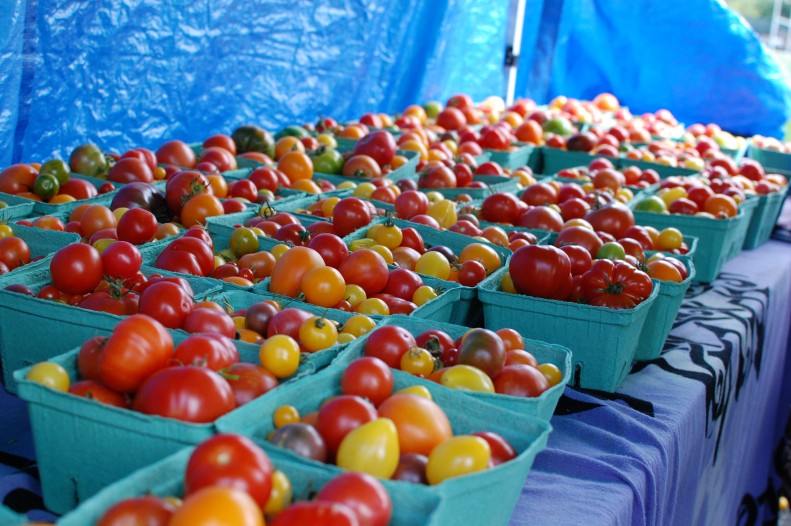 tomatoes