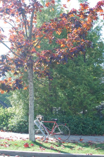 bike and light