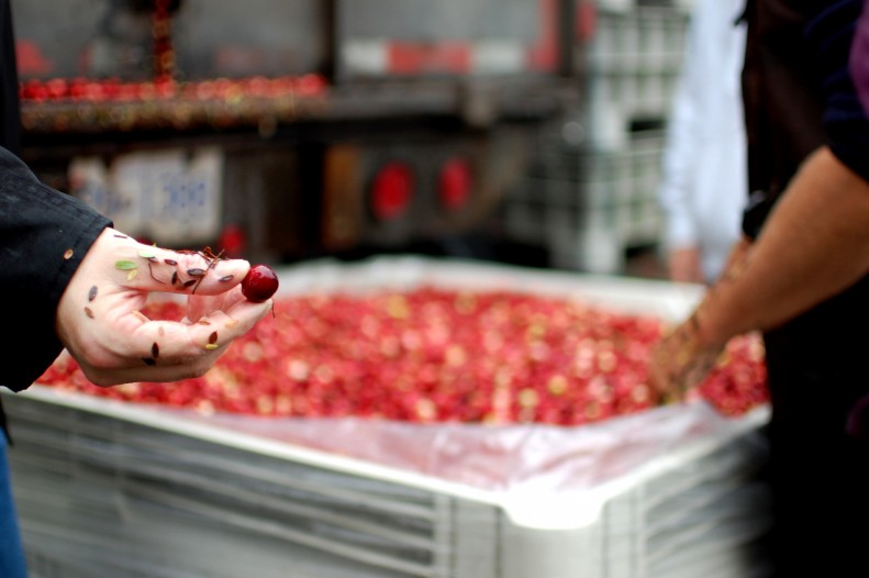 cranberry