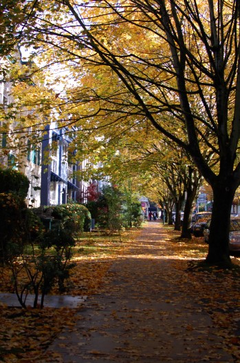14th avenue