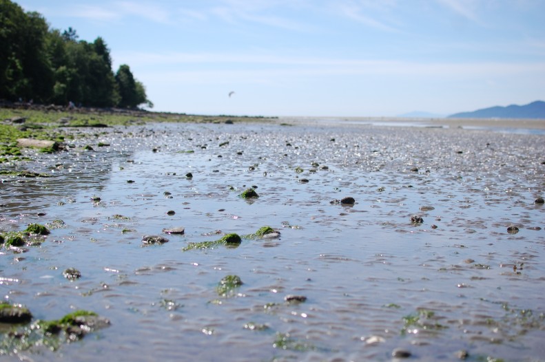 Spanish banks, Vancouver, low tide