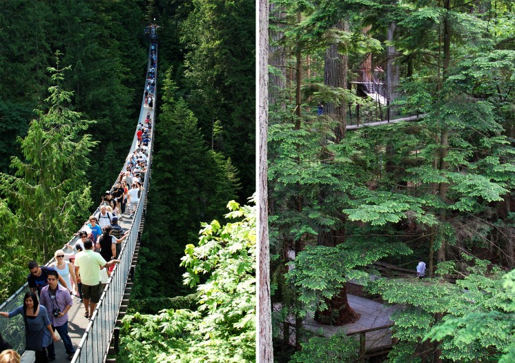 Capilano suspension bridge, Vancouver