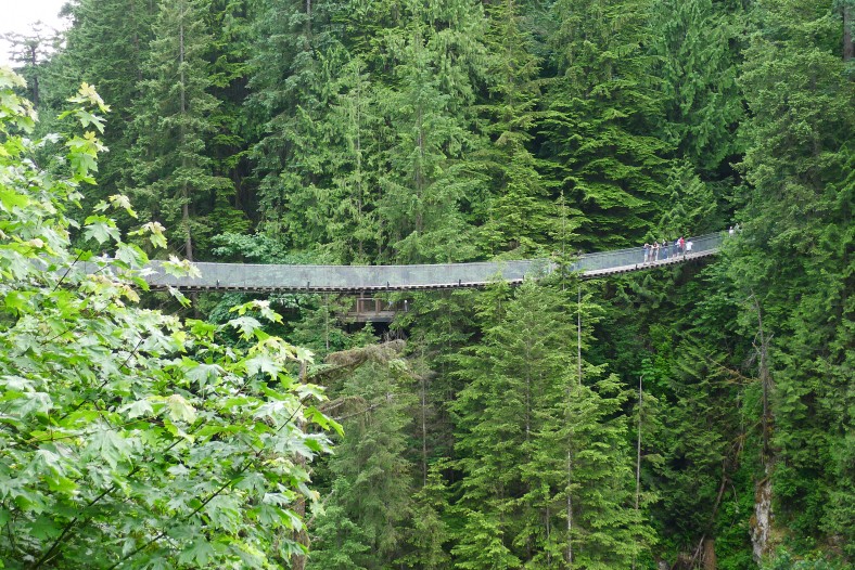 Capilano suspension bridge