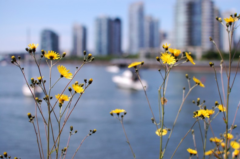 flowers and vancouver