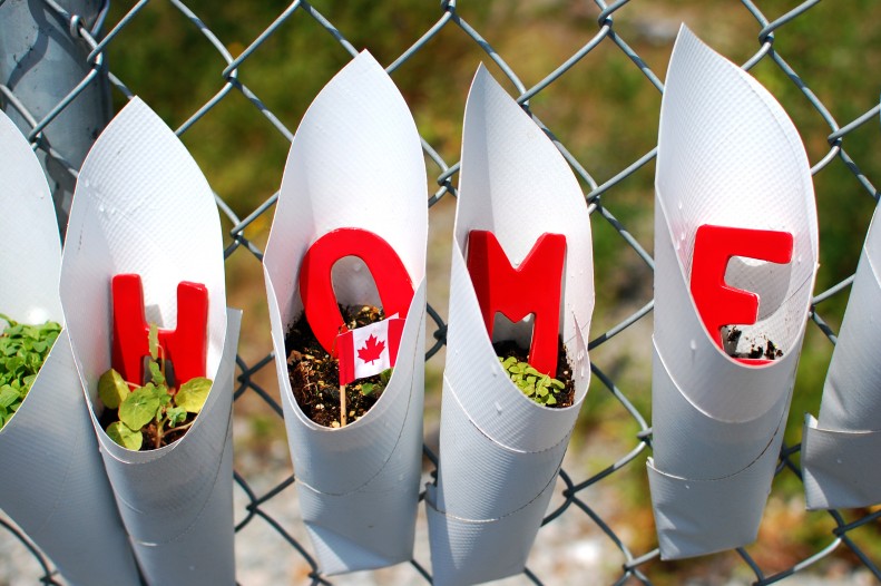 Plants, typography, home, canada flag