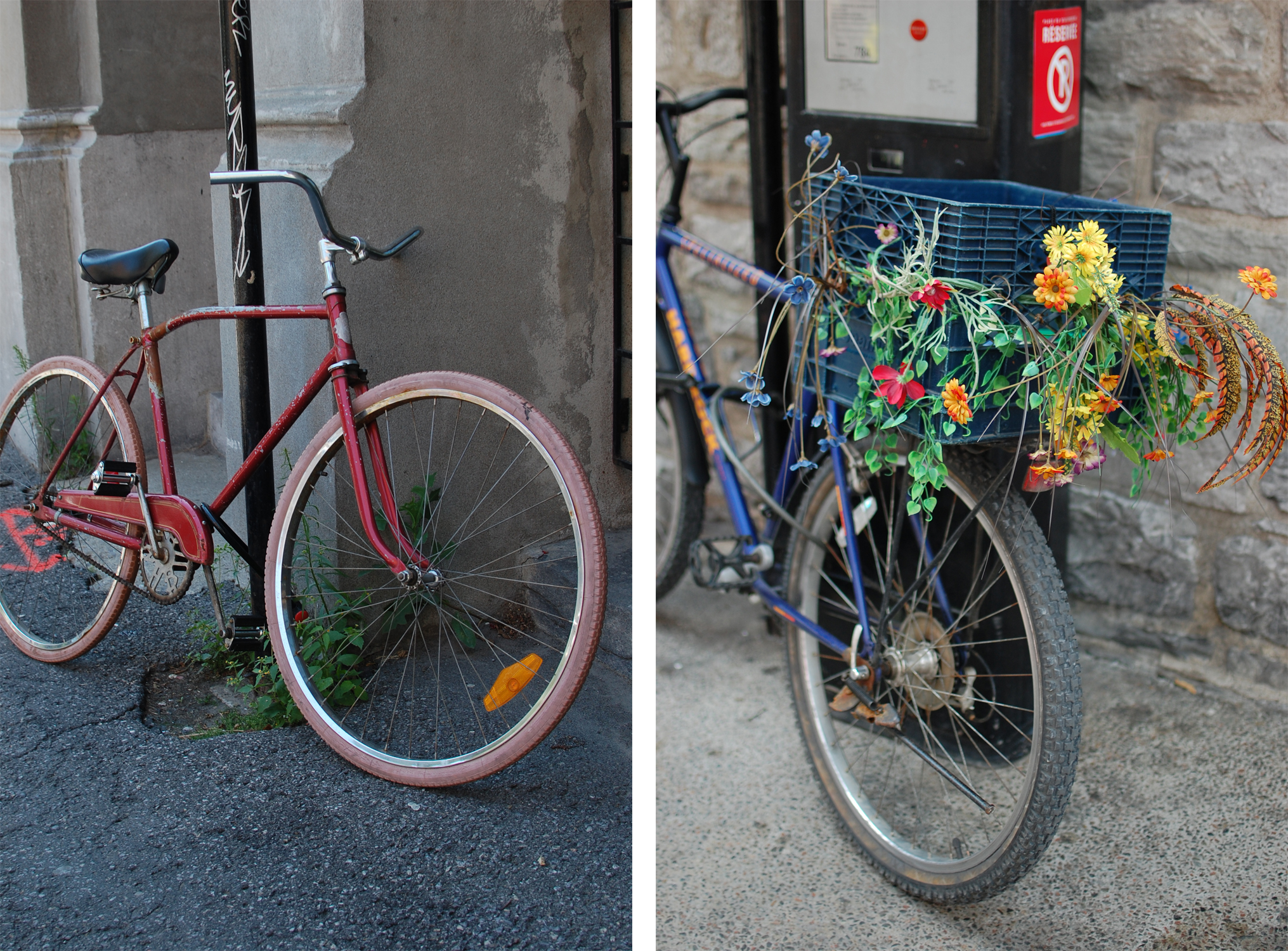 Montreal bikes