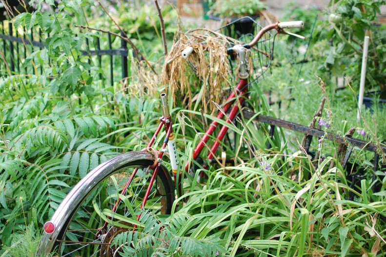 Montreal bikes