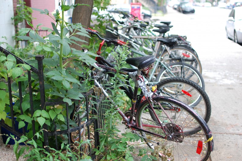 Montreal bikes