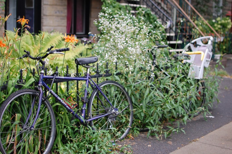 Montreal bikes